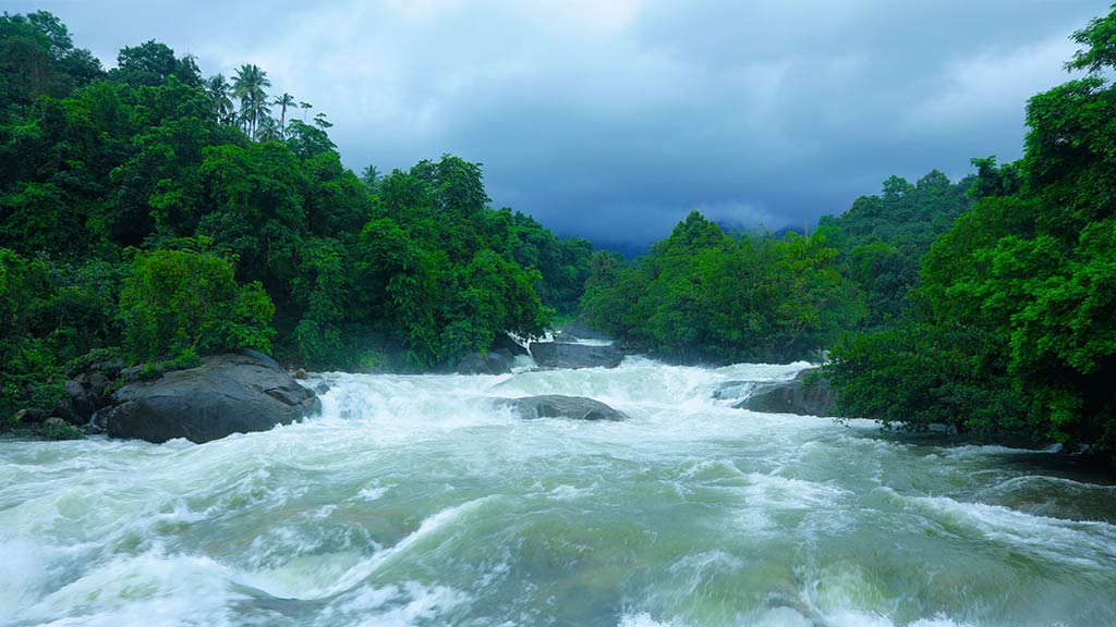 Amarad Water Falls Kattippara Thamarassery attractions