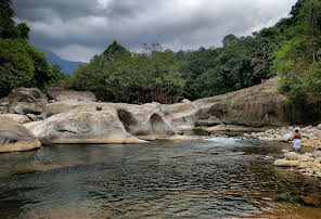 Amarad Water Falls Kattippara Thamarassery entry details