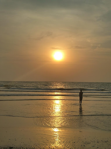 Beypore Beach Kozhikode attractions