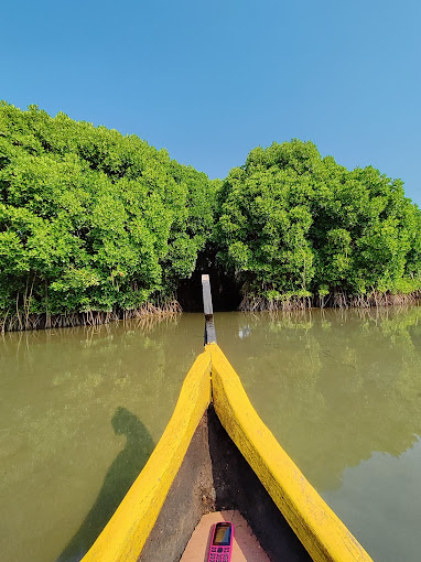 Kadalundi wide variety of bird species