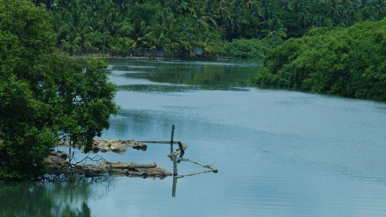 Colonial-style riverside houses lining the scenic banks of Kallayi in Kozhikode