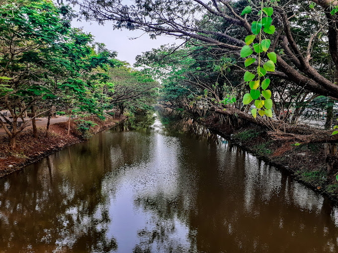 Sarovaram Biopark environmental education