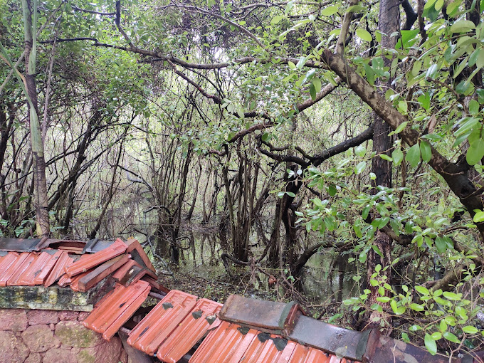 Sarovaram Biopark Kozhikode Transpotation