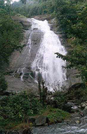 Thusharagiri Waterfalls Kozhikode