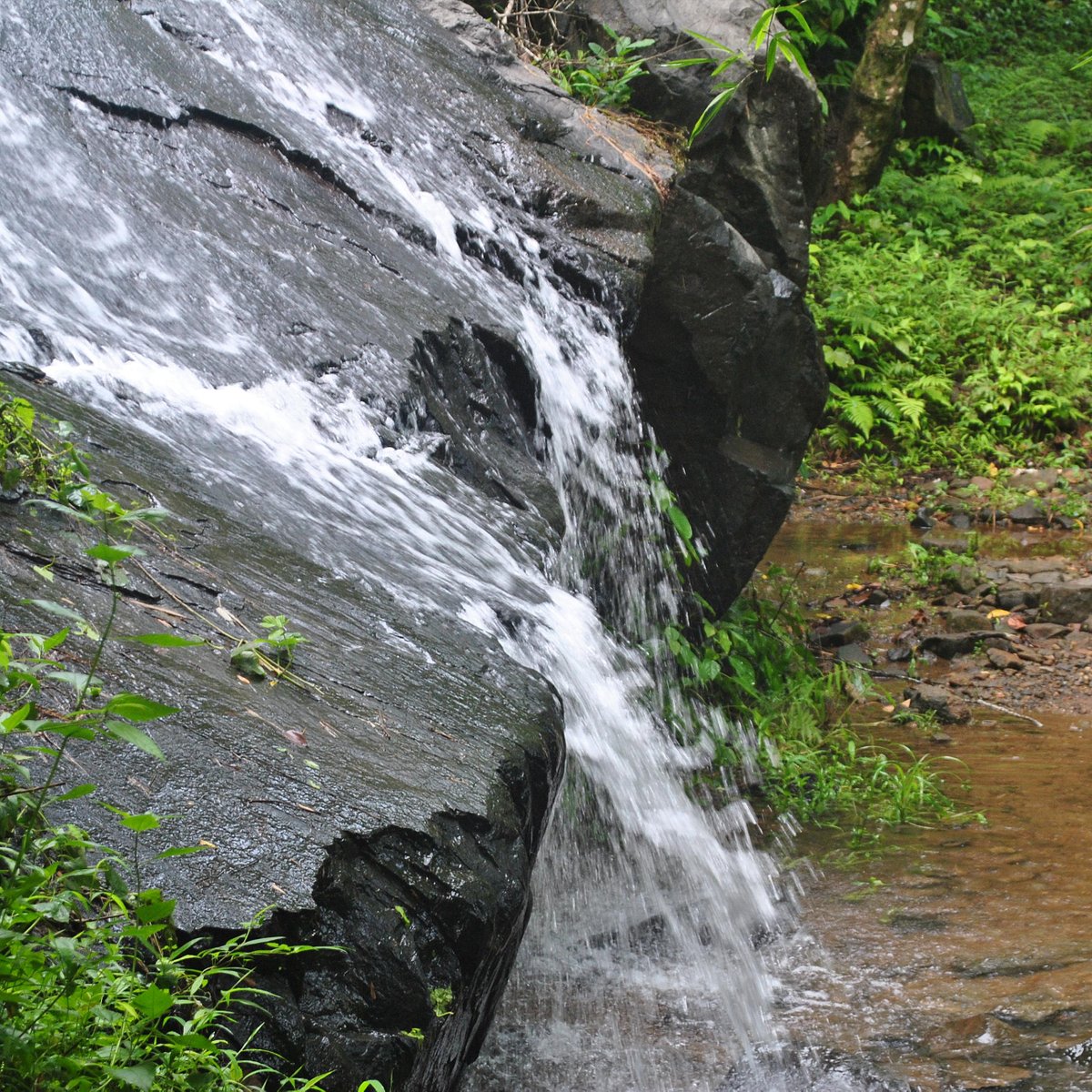 Images of Kozhikode