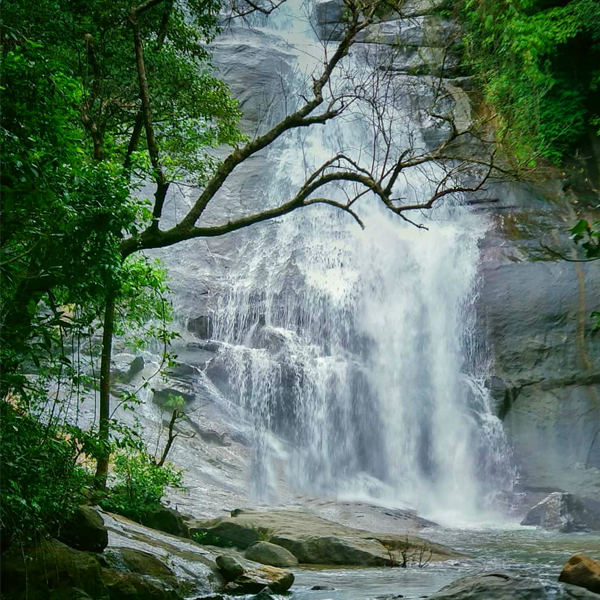 Thusharagiri Waterfalls view