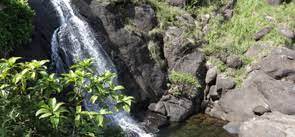 Vellarimala Waterfalls entry details