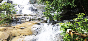 Vellarimala Waterfalls Landscape view